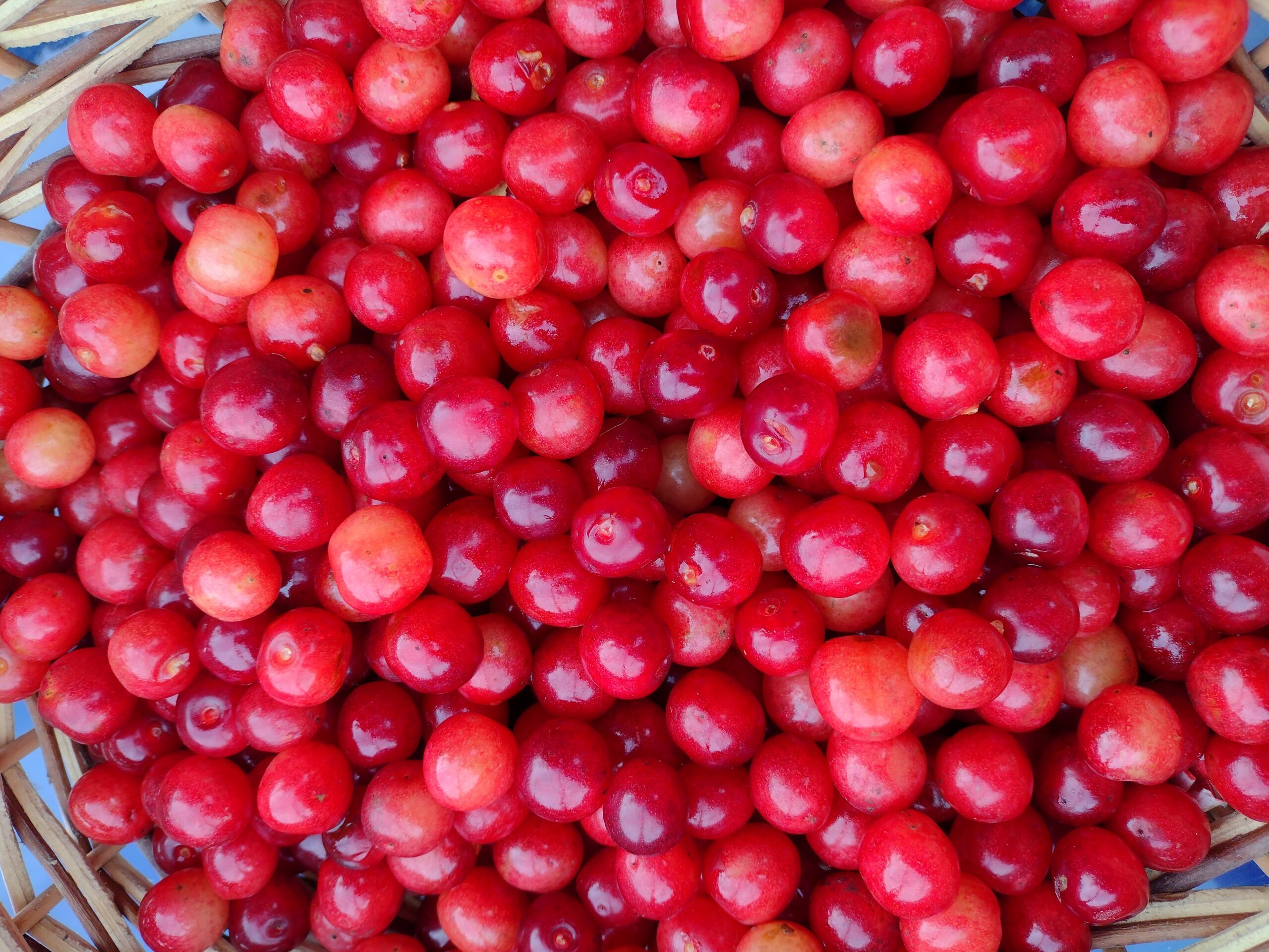 IMG_20210803_151544297 (1)