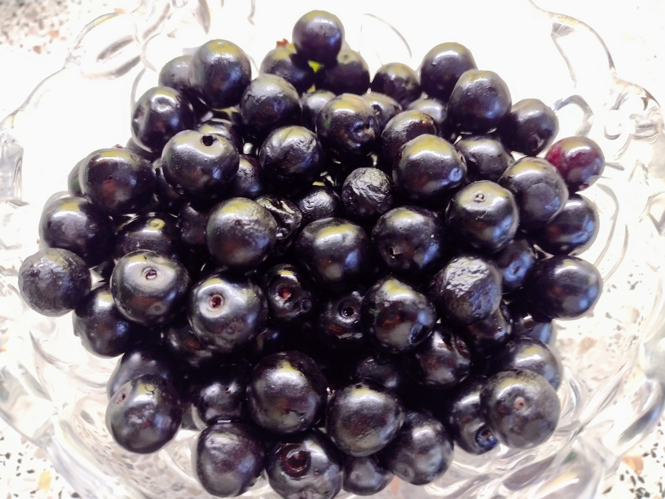 IMG_20210803_154520271 (1)