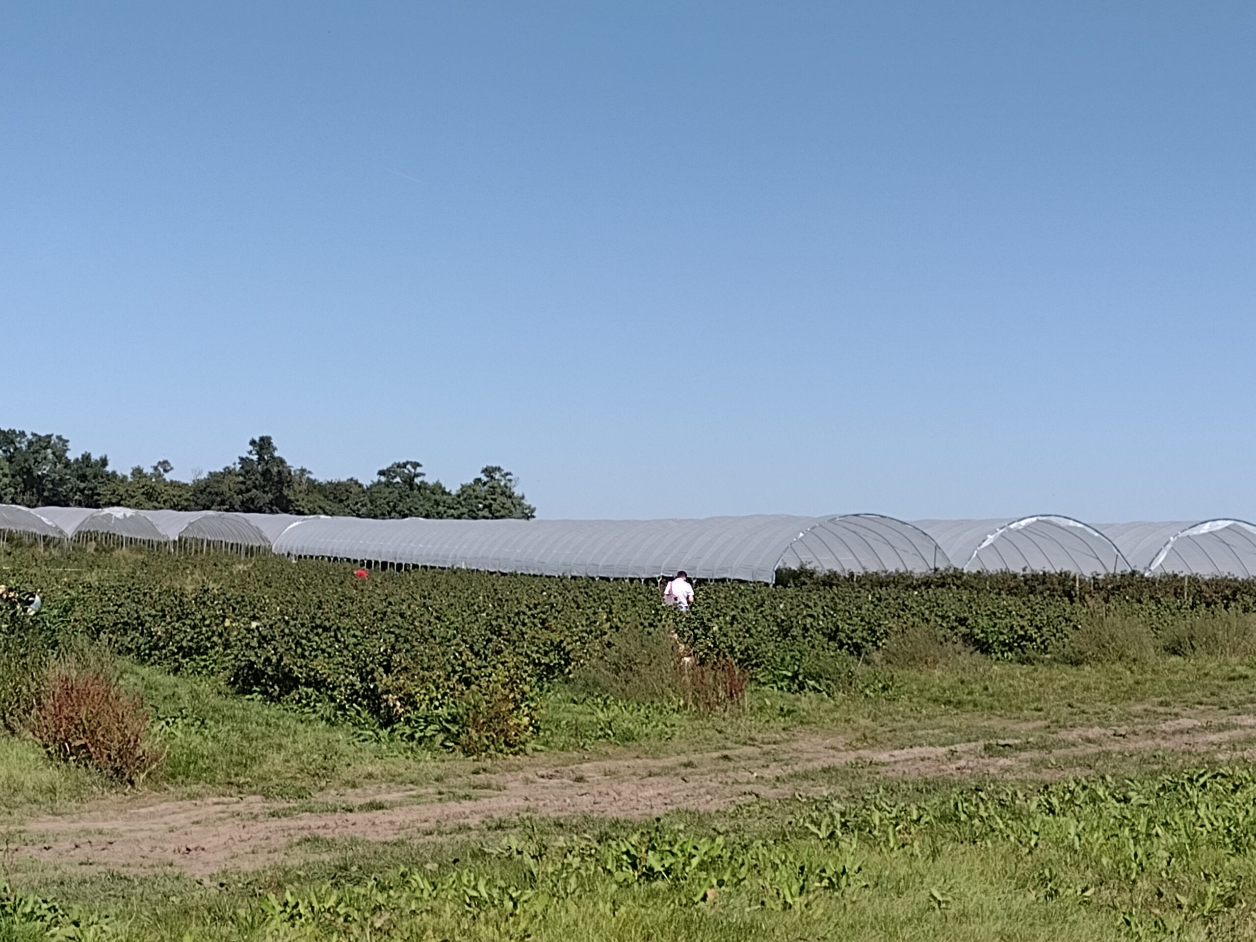 IMG_20210909_131315007