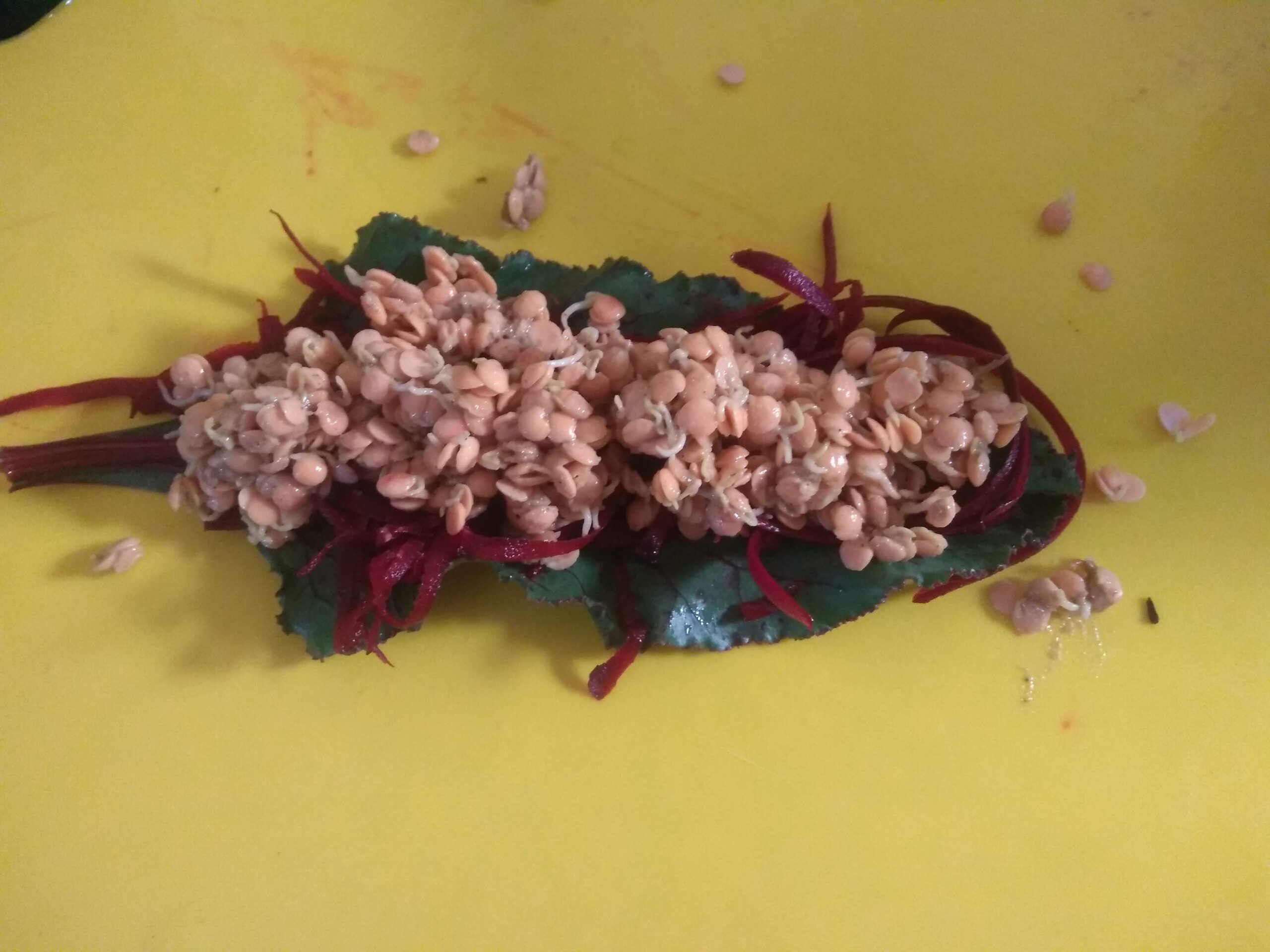 IMG_20200802_114302989